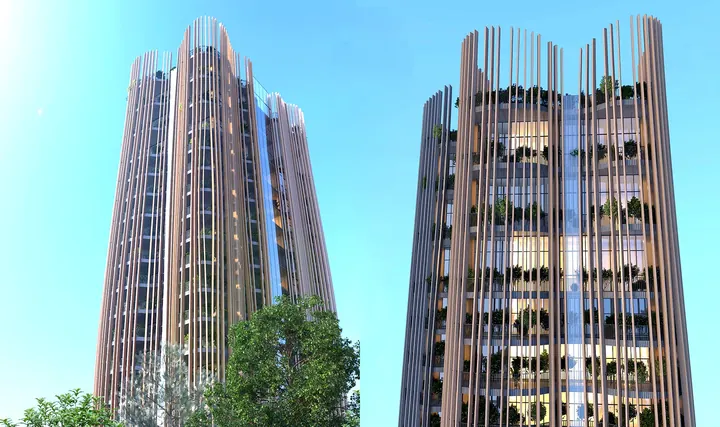Domus Trees