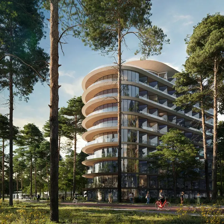 Архитектура среди соснового леса